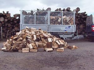 2m Seasoned Hardwood Logs